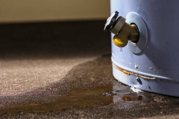 Best Sewage cleanup and water damage restoration  in International Falls, MN