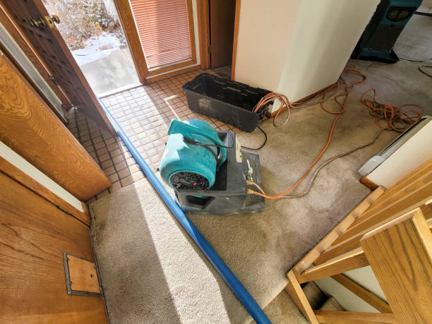 Best Water damage contractors near me  in International Falls, MN