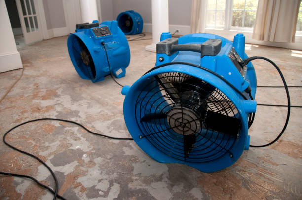  International Falls, MN Water damage restoration Pros