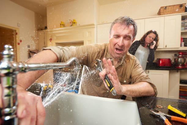 Best Emergency water damage restoration  in International Falls, MN